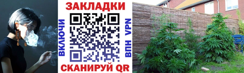 Виды наркотиков купить Кстово A PVP  Cocaine  АМФ  Конопля  НБОМе  МЕФ 
