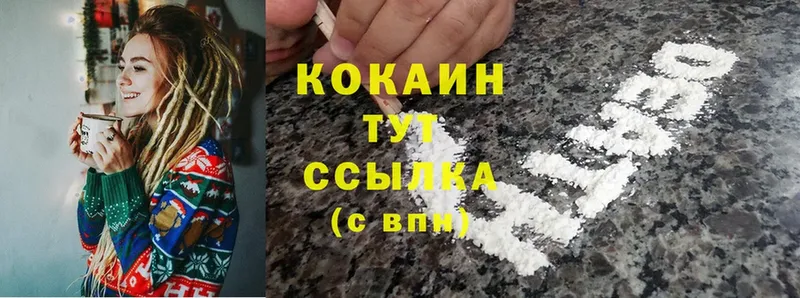 Cocaine Fish Scale  где продают наркотики  Кстово 