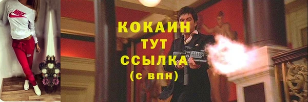 гидра Новодвинск