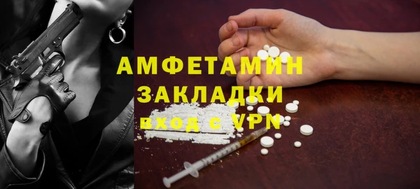 гидра Новодвинск