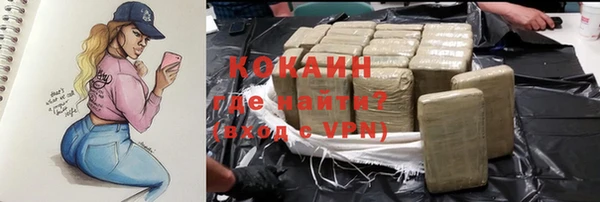 гидра Новодвинск