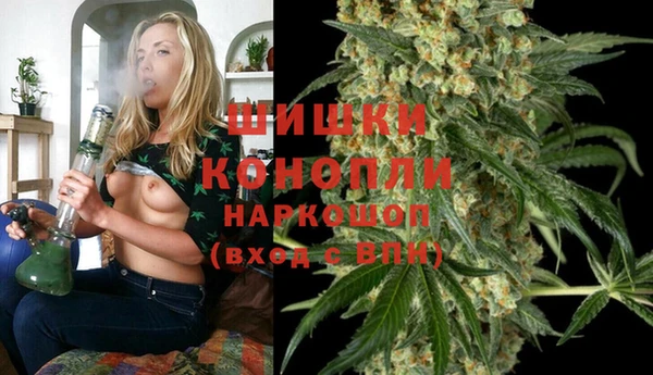 гидра Новодвинск
