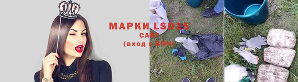 гидра Новодвинск