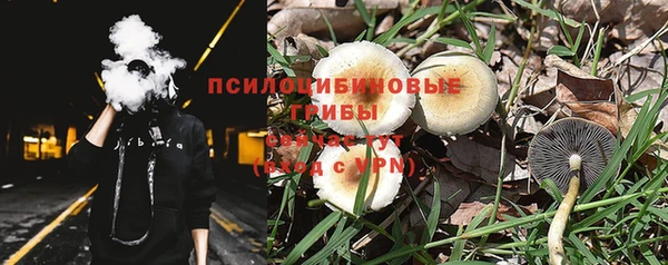 крисы Нефтекумск