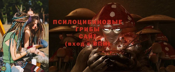 гидра Новодвинск