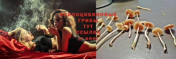 гидра Новодвинск