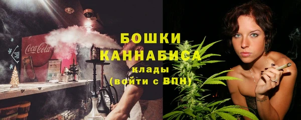 гидра Новодвинск