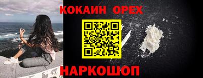 гидропоника Камышлов