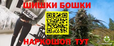гидропоника Камышлов