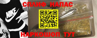 гидропоника Камышлов