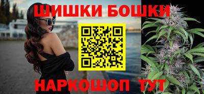 гидропоника Камышлов